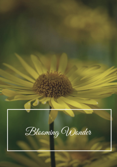 Welcome to Blooming Wonder